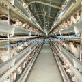 Geflügelfarmkäfig für Hühnerhaus